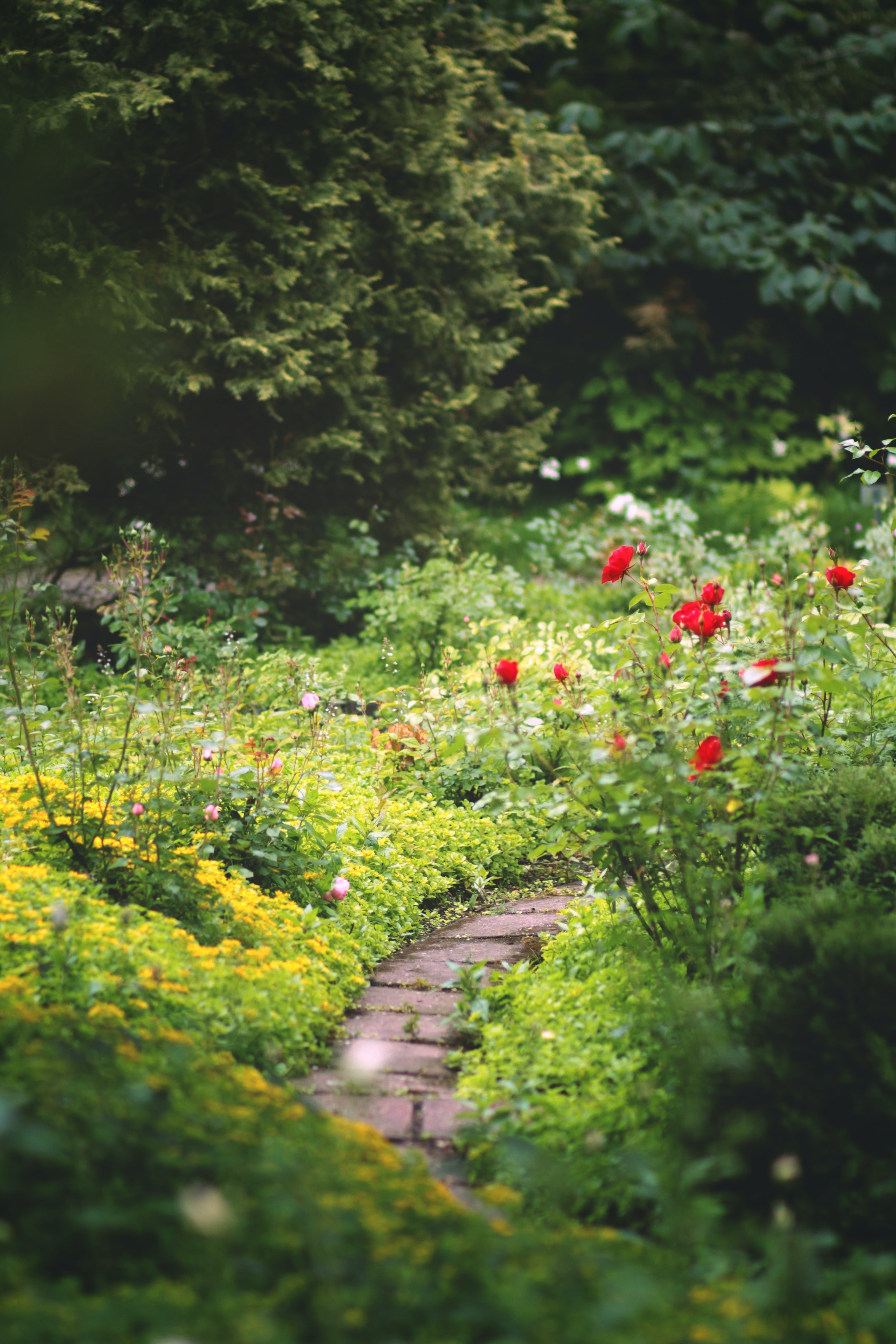 Der Garten wird klimafit so funktioniert es Dyyna.bio