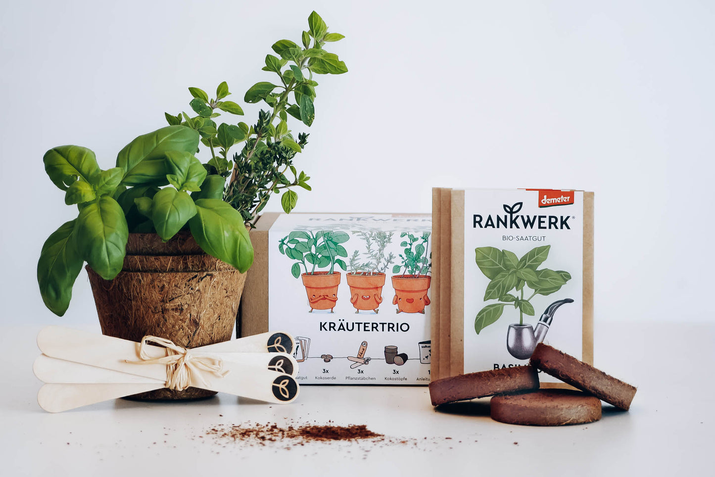 Saatgut-Box "Kräutertrio"
