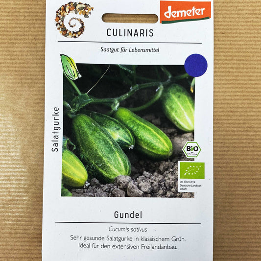 BIO Salatgurke Gundel