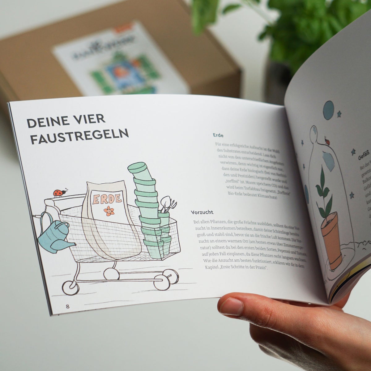 Bio Saatgut-Box „Gartenjahr“ mit Saatgut, Dünger, Kokosquelltabletten, Anleitungsbuch