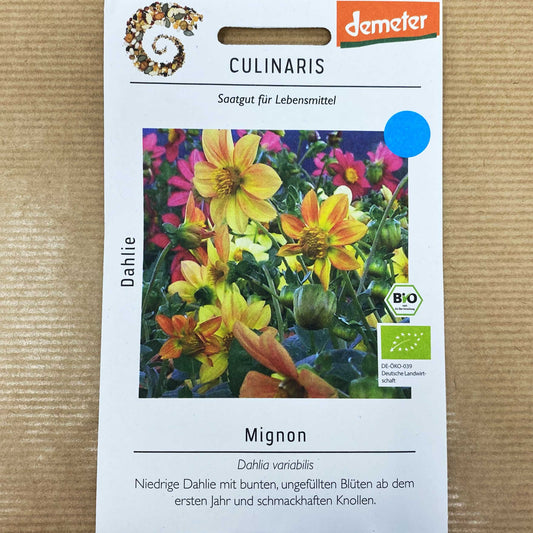 BIO Dahlie Mignon