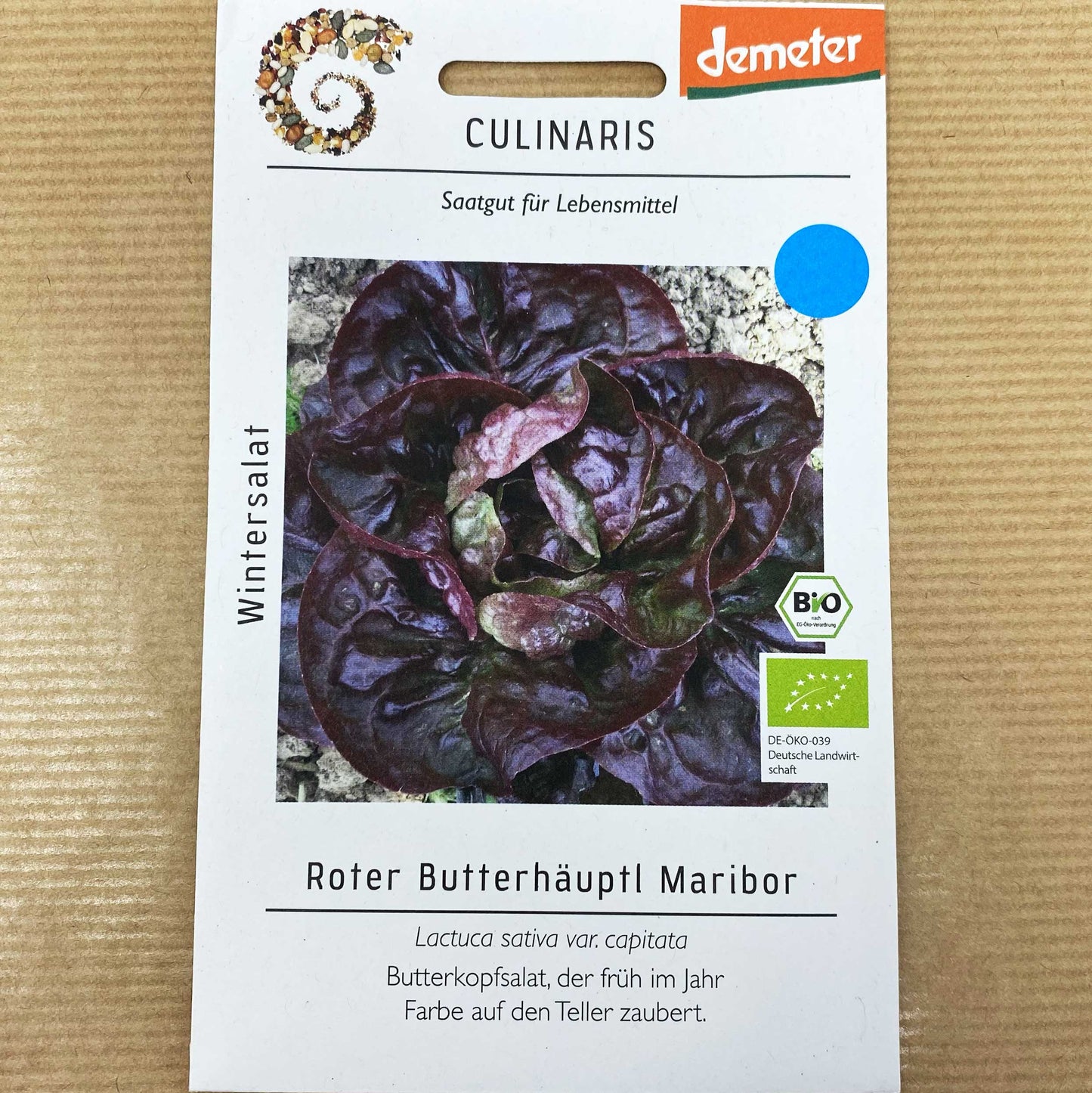 BIO Wintersalat Roter Butterhäuptl Maribor
