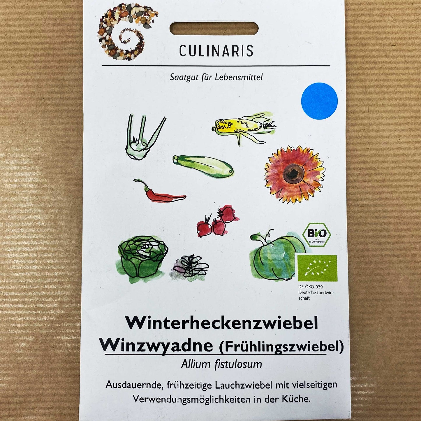 Winterheckezwiebel Winzwyadne (Braunschalige)