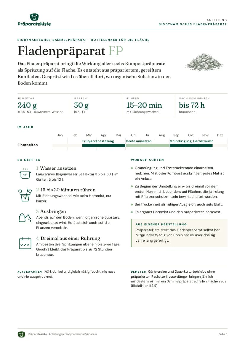 Anleitung Fladenpräparat auf einer Seite