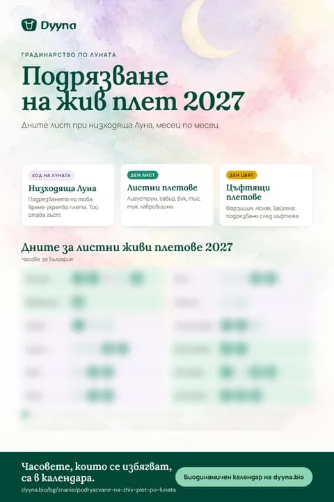 Инфографика „Подрязване на жив плет 2027“: подходящите дни месец по месец