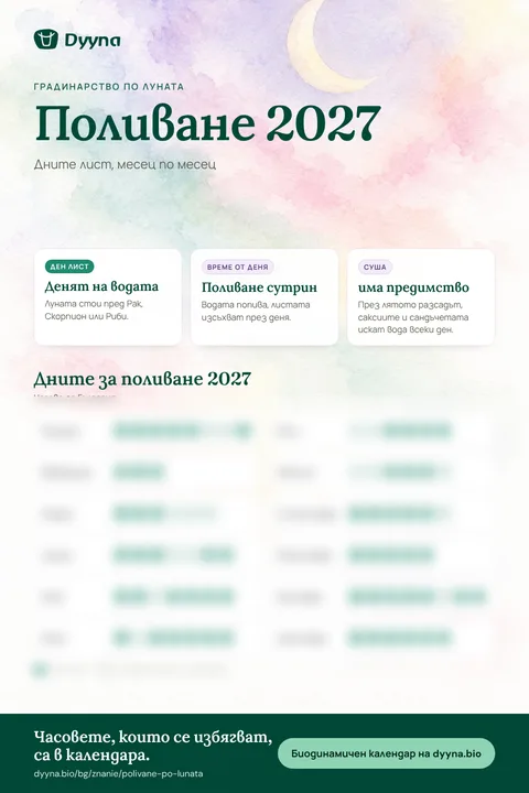 Инфографика „Поливане 2027“: подходящите дни месец по месец