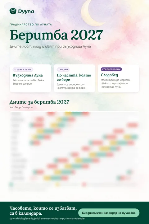 Инфографика „Беритба 2027“: подходящите дни месец по месец