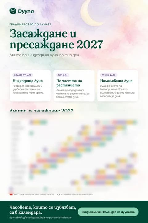 Инфографика „Засаждане и пресаждане 2027“: подходящите дни месец по месец