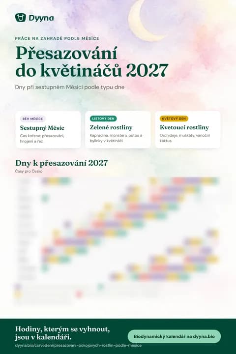 Infografika Přesazování do květináčů 2027: vhodné dny měsíc po měsíci
