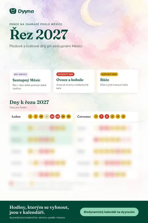 Infografika Řez 2027: vhodné dny měsíc po měsíci