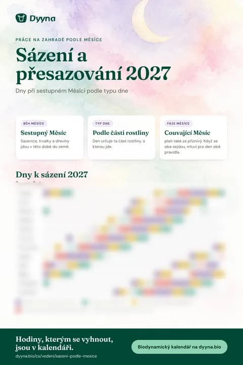 Infografika Sázení a přesazování 2027: vhodné dny měsíc po měsíci