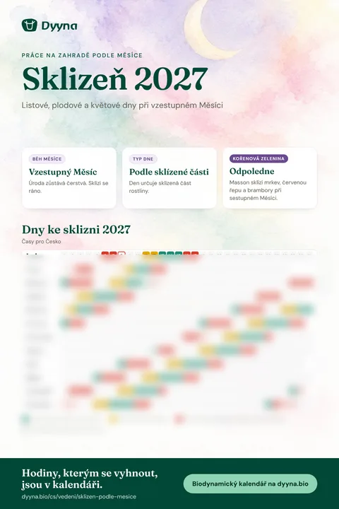 Infografika Sklizeň 2027: vhodné dny měsíc po měsíci