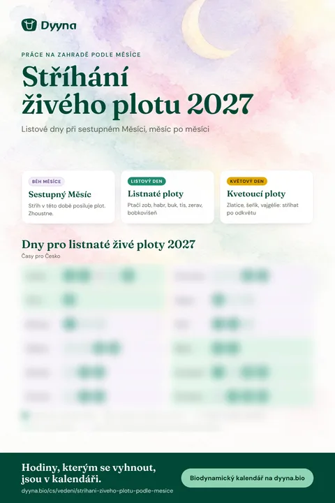 Infografika Stříhání živého plotu 2027: vhodné dny měsíc po měsíci