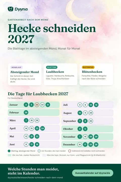 Infografik Hecke schneiden 2027: die passenden Tage Monat für Monat