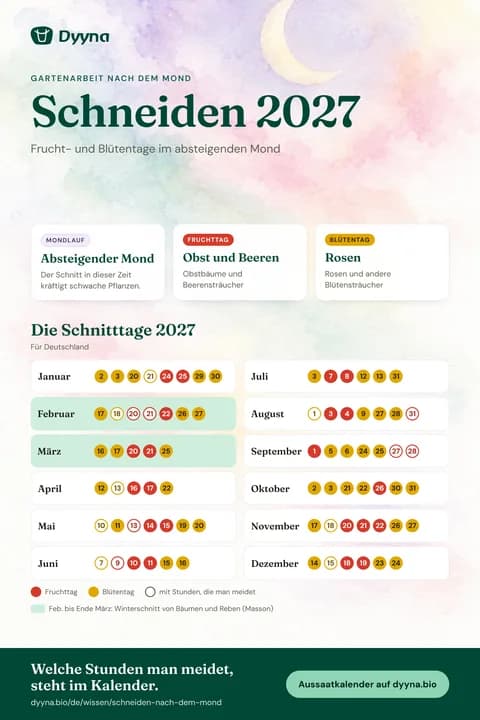 Infografik Schneiden 2027: die passenden Tage Monat für Monat