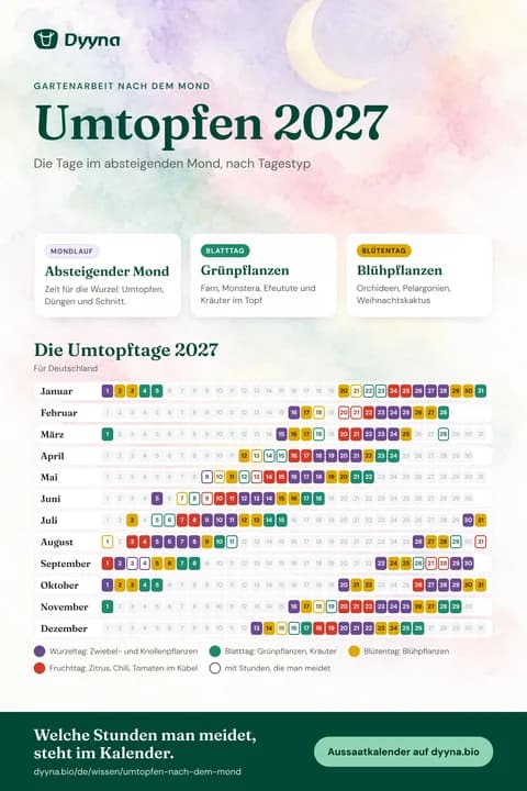 Infografik Umtopfen 2027: die passenden Tage Monat für Monat