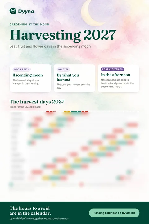 Infographic Harvesting 2027: the right days month by month