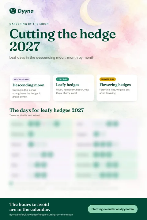 Infographic Cutting the hedge 2027: the right days month by month