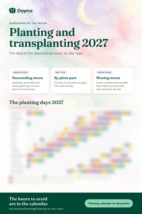 Infographic Planting and transplanting 2027: the right days month by month