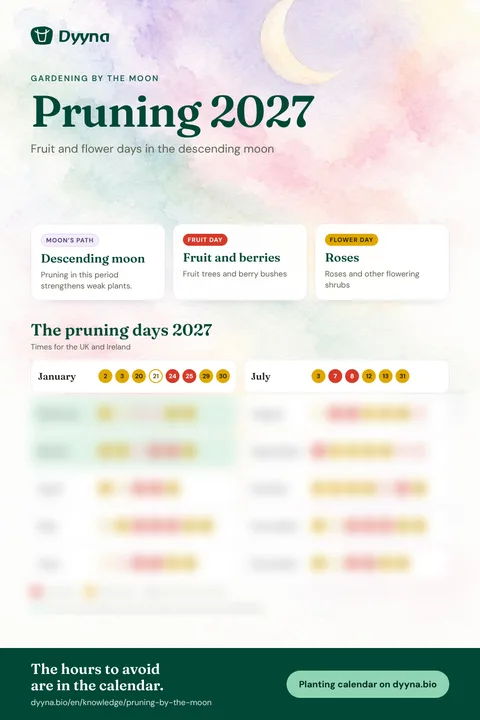 Infographic Pruning 2027: the right days month by month