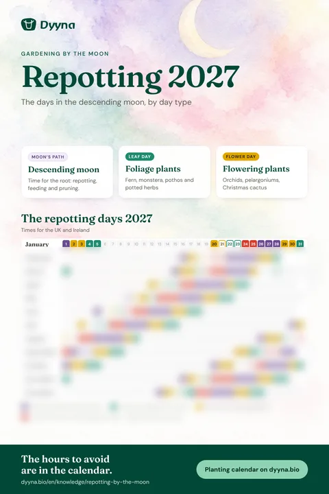 Infographic Repotting 2027: the right days month by month