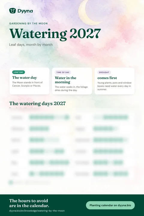 Infographic Watering 2027: the right days month by month