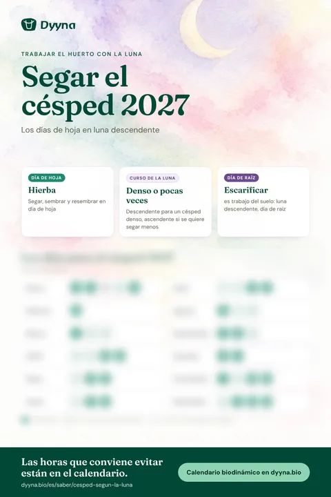 Infografía Segar el césped 2027: los días adecuados mes a mes