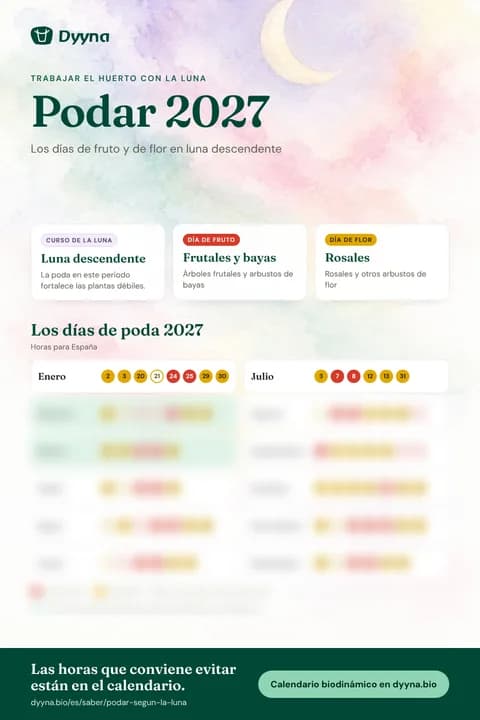 Infografía Podar 2027: los días adecuados mes a mes