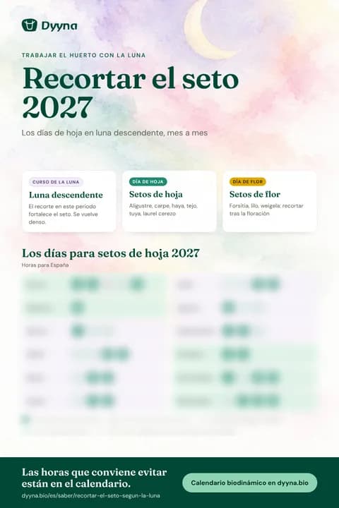 Infografía Recortar el seto 2027: los días adecuados mes a mes