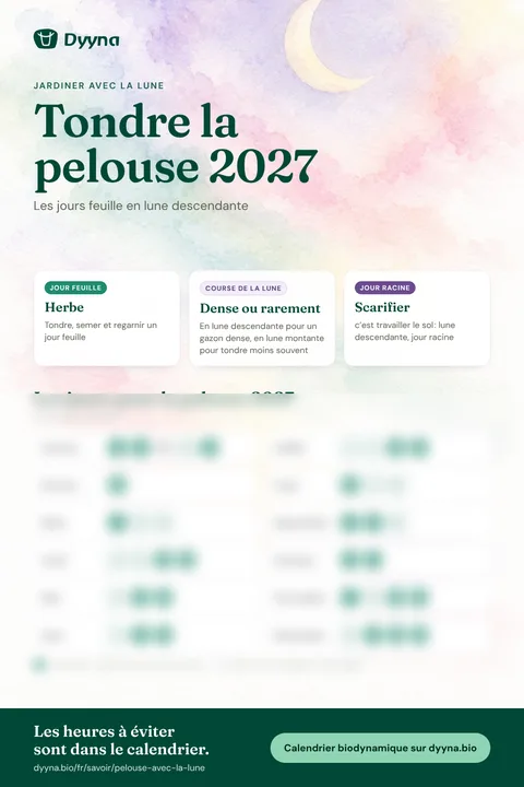 Infographie Tondre la pelouse 2027 : les bons jours mois par mois