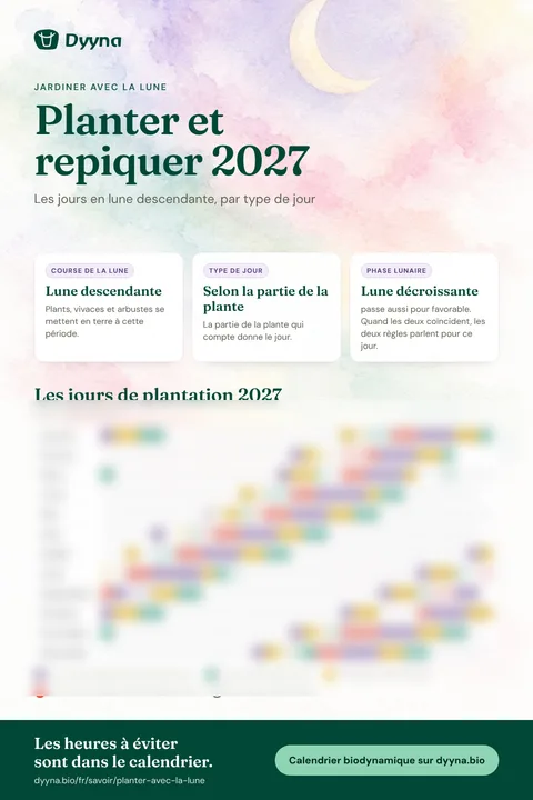 Infographie Planter et repiquer 2027 : les bons jours mois par mois