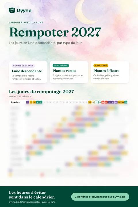 Infographie Rempoter 2027 : les bons jours mois par mois