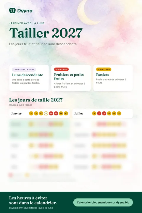 Infographie Tailler 2027 : les bons jours mois par mois