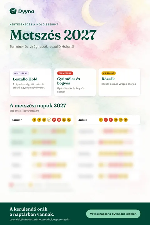 Infografika – Metszés 2027: a megfelelő napok hónapról hónapra