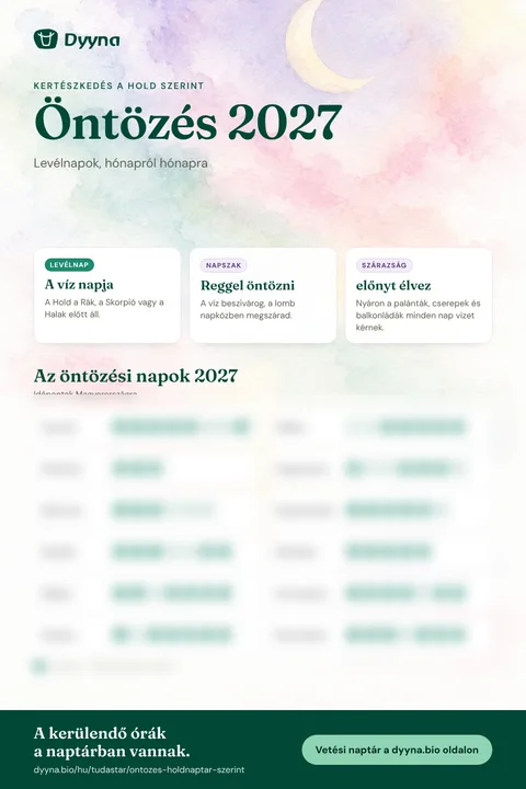 Infografika – Öntözés 2027: a megfelelő napok hónapról hónapra