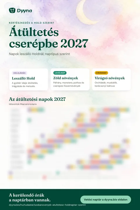 Infografika – Átültetés cserépbe 2027: a megfelelő napok hónapról hónapra
