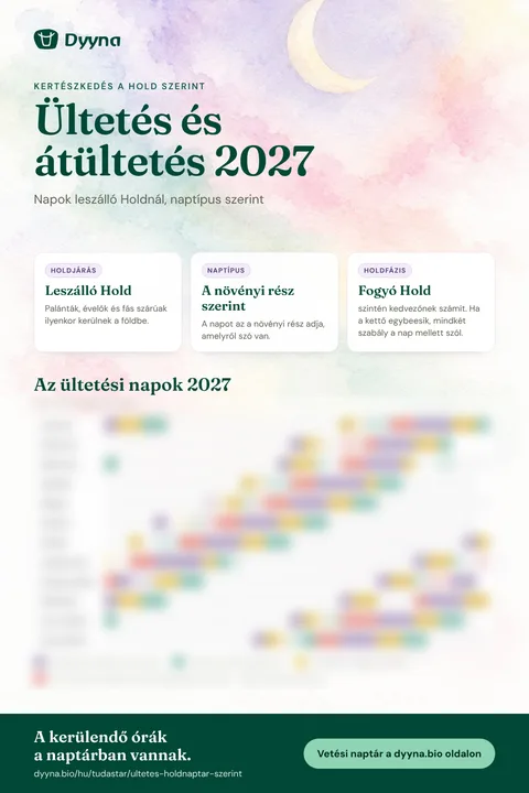 Infografika – Ültetés és átültetés 2027: a megfelelő napok hónapról hónapra