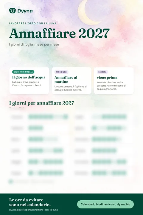 Infografica Annaffiare 2027: i giorni giusti mese per mese