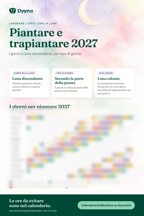 Infografica Piantare e trapiantare 2027: i giorni giusti mese per mese
