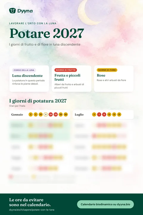 Infografica Potare 2027: i giorni giusti mese per mese