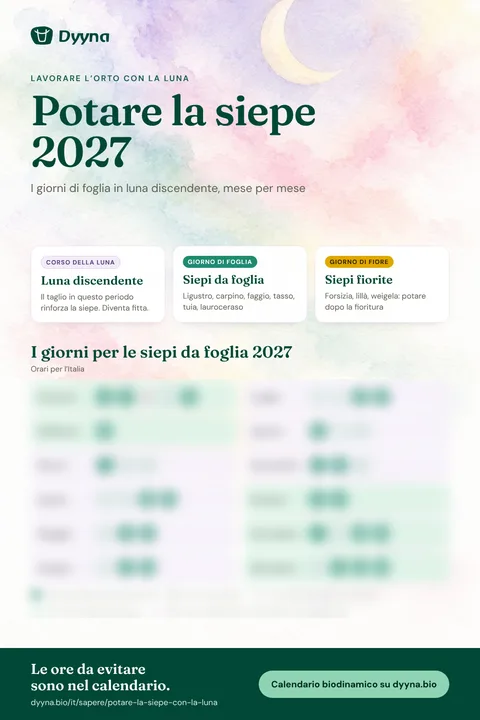 Infografica Potare la siepe 2027: i giorni giusti mese per mese