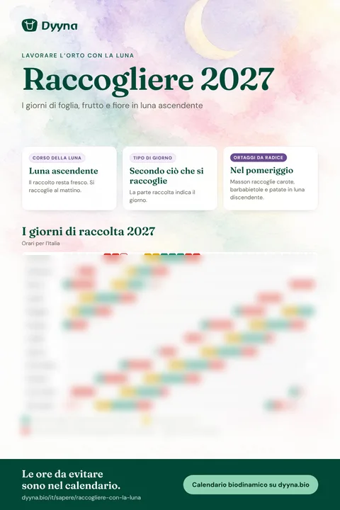 Infografica Raccogliere 2027: i giorni giusti mese per mese