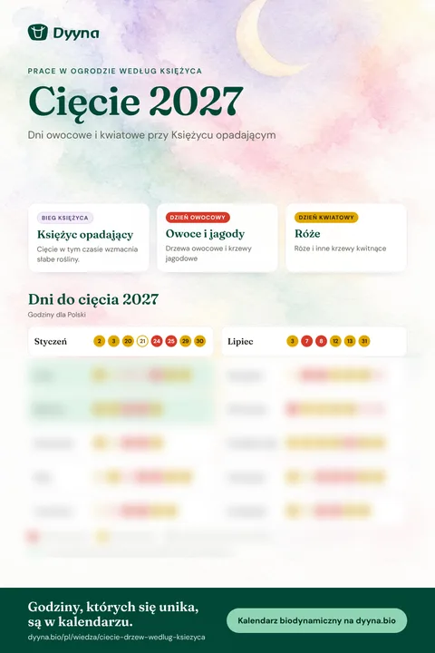 Infografika Cięcie 2027: odpowiednie dni miesiąc po miesiącu