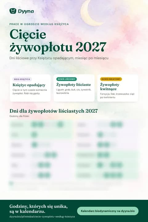 Infografika Cięcie żywopłotu 2027: odpowiednie dni miesiąc po miesiącu