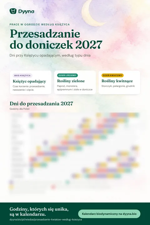 Infografika Przesadzanie do doniczek 2027: odpowiednie dni miesiąc po miesiącu