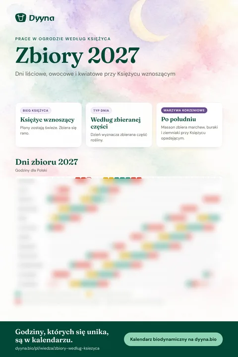 Infografika Zbiory 2027: odpowiednie dni miesiąc po miesiącu
