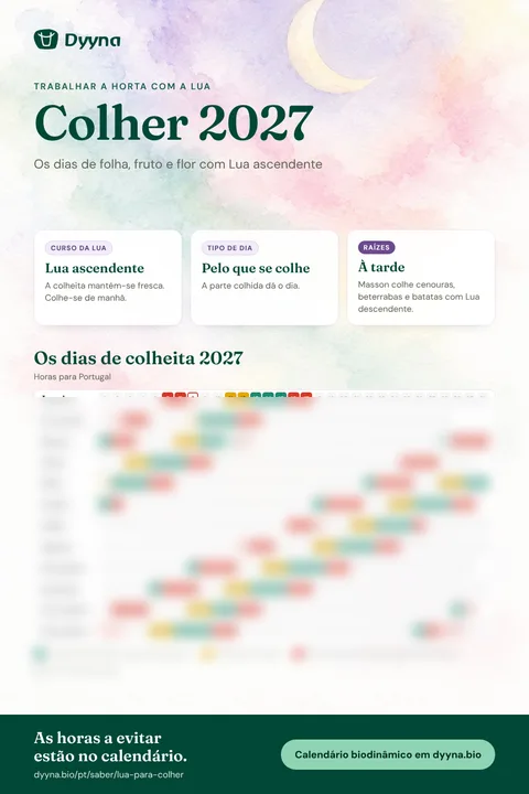 Infografia Colher 2027: os dias certos mês a mês