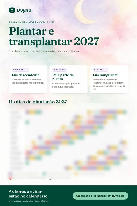 Infografia Plantar e transplantar 2027: os dias certos mês a mês