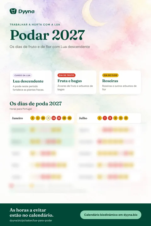 Infografia Podar 2027: os dias certos mês a mês