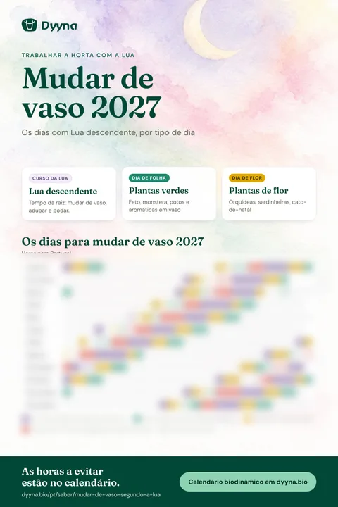 Infografia Mudar de vaso 2027: os dias certos mês a mês